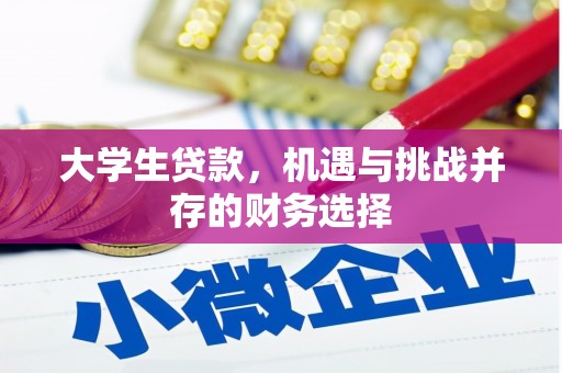 闵行大学生贷款，机遇与挑战并存的财务选择