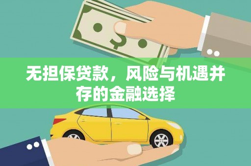 闵行无担保贷款，风险与机遇并存的金融选择