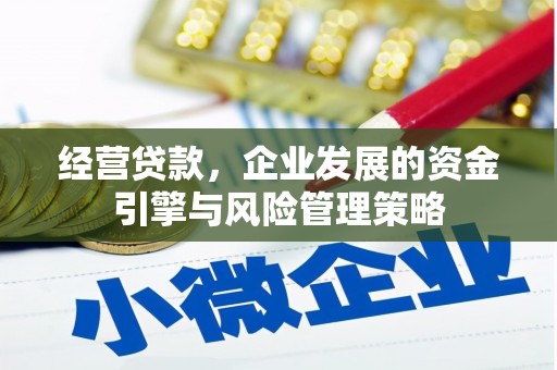 闵行经营贷款，企业发展的资金引擎与风险管理策略