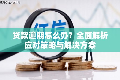 闵行贷款逾期怎么办？全面解析应对策略与解决方案