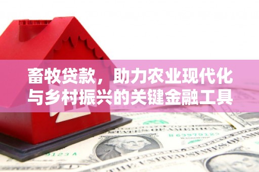 闵行畜牧贷款，助力农业现代化与乡村振兴的关键金融工具