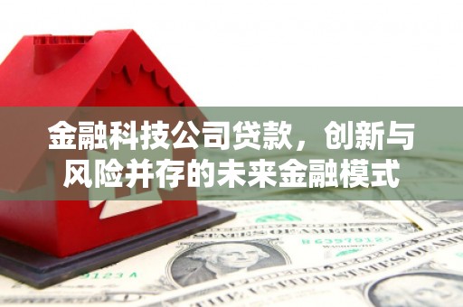闵行金融科技公司贷款，创新与风险并存的未来金融模式