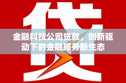 闵行金融科技公司贷款，创新驱动下的金融服务新生态