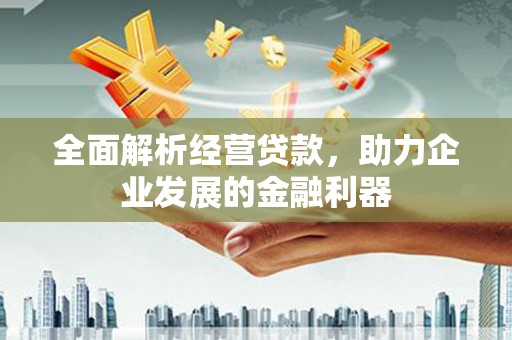 闵行全面解析经营贷款，助力企业发展的金融利器