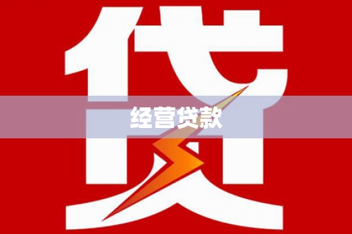 闵行经营贷款