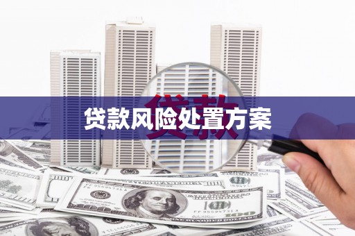 闵行贷款风险处置方案