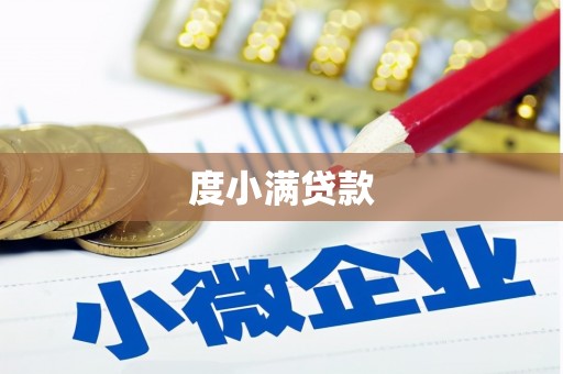 闵行度小满贷款
