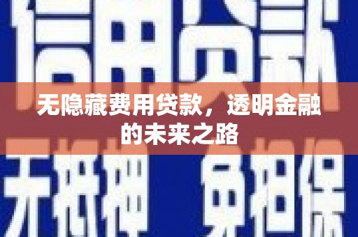 闵行无隐藏费用贷款，透明金融的未来之路