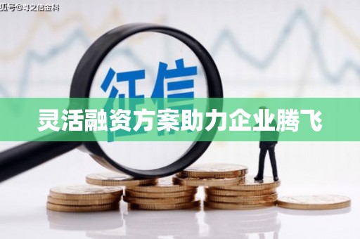 闵行灵活融资方案助力企业腾飞