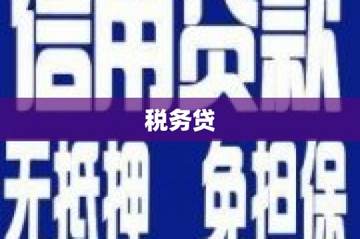 闵行税务贷