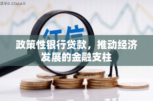 闵行政策性银行贷款，推动经济发展的金融支柱