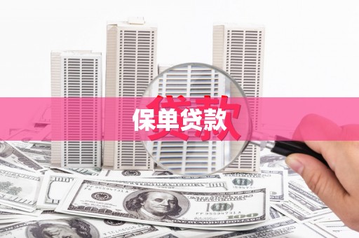 闵行保单贷款