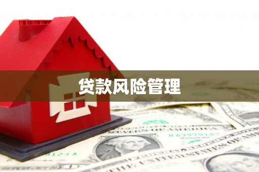 闵行贷款风险管理