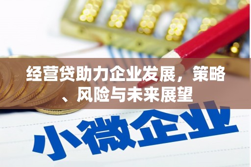 闵行经营贷助力企业发展，策略、风险与未来展望