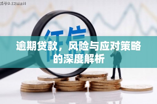 闵行逾期贷款，风险与应对策略的深度解析