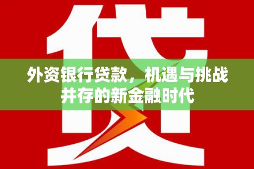 闵行外资银行贷款，机遇与挑战并存的新金融时代