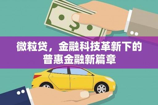 闵行微粒贷，金融科技革新下的普惠金融新篇章