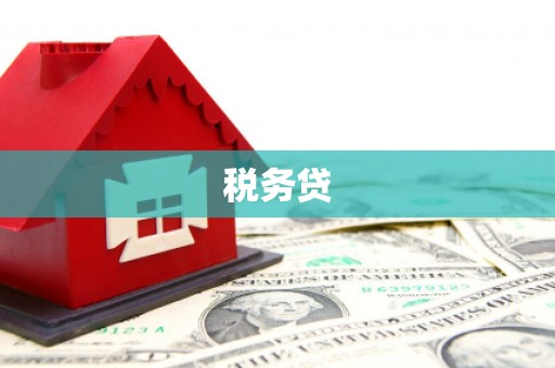 闵行税务贷