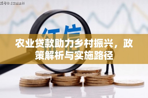 闵行农业贷款助力乡村振兴，政策解析与实施路径