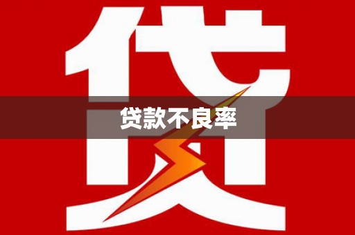 闵行贷款不良率