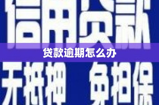 闵行贷款逾期怎么办