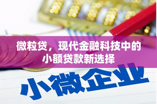 闵行微粒贷，现代金融科技中的小额贷款新选择