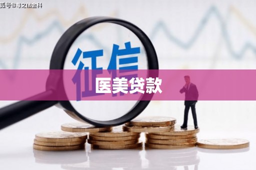 闵行医美贷款