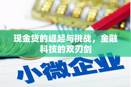闵行现金贷的崛起与挑战，金融科技的双刃剑