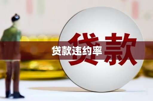 闵行贷款违约率