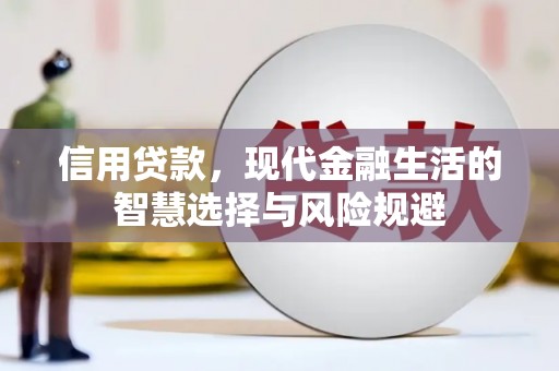 闵行信用贷款，现代金融生活的智慧选择与风险规避