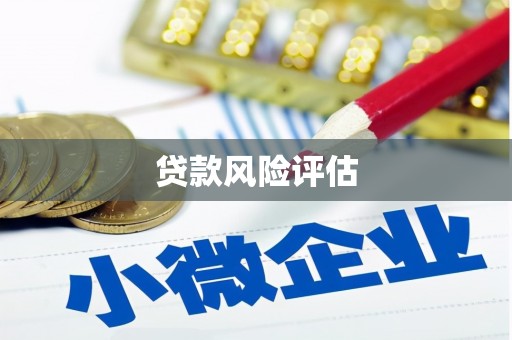 闵行贷款风险评估