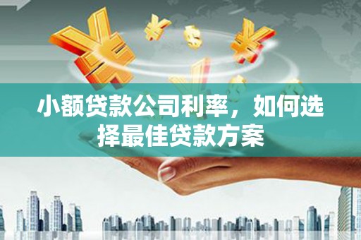 闵行小额贷款公司利率，如何选择最佳贷款方案