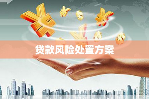 闵行贷款风险处置方案