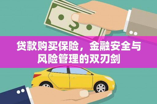 闵行贷款购买保险，金融安全与风险管理的双刃剑