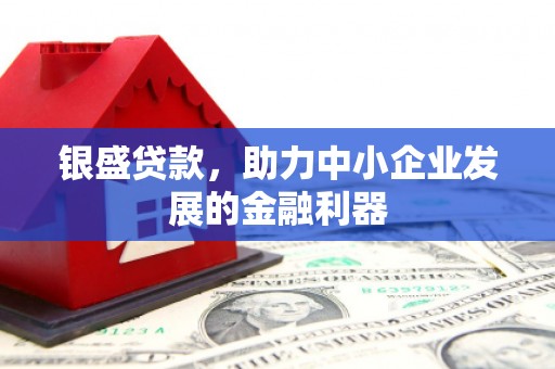 闵行银盛贷款，助力中小企业发展的金融利器