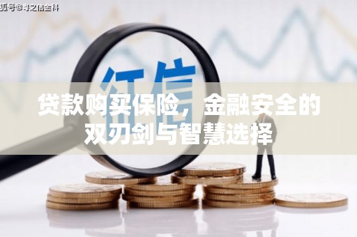 闵行贷款购买保险，金融安全的双刃剑与智慧选择