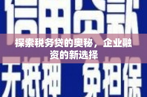 闵行探索税务贷的奥秘，企业融资的新选择