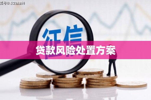 闵行贷款风险处置方案