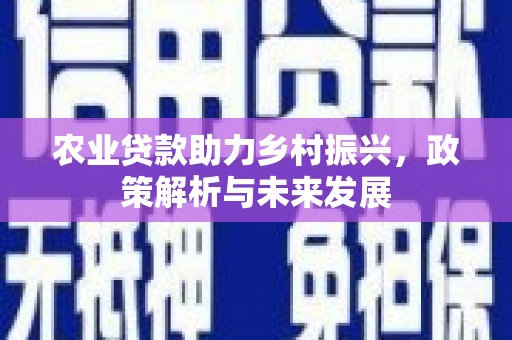 闵行农业贷款助力乡村振兴，政策解析与未来发展