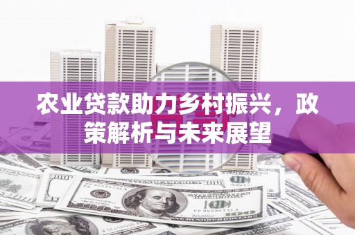 闵行农业贷款助力乡村振兴，政策解析与未来展望
