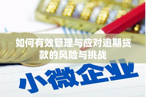 闵行如何有效管理与应对逾期贷款的风险与挑战