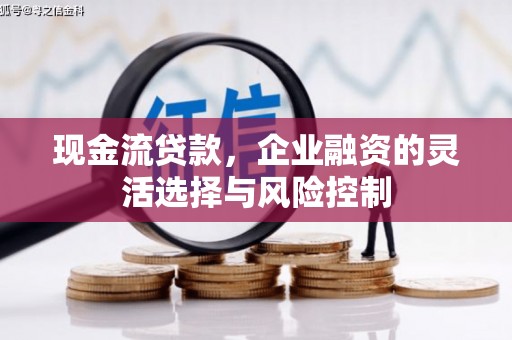 闵行现金流贷款，企业融资的灵活选择与风险控制