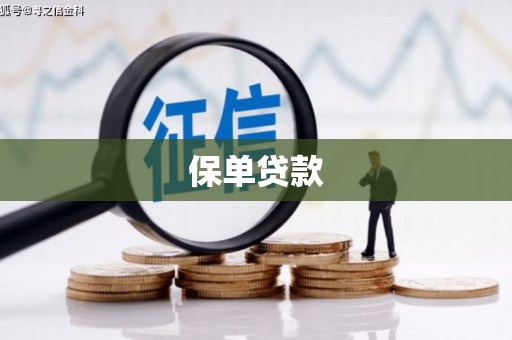 闵行保单贷款