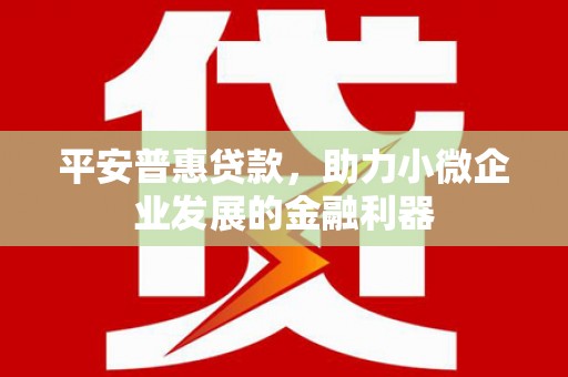 闵行平安普惠贷款，助力小微企业发展的金融利器