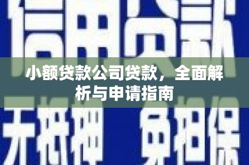 闵行小额贷款公司贷款，全面解析与申请指南