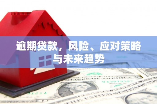 闵行逾期贷款，风险、应对策略与未来趋势