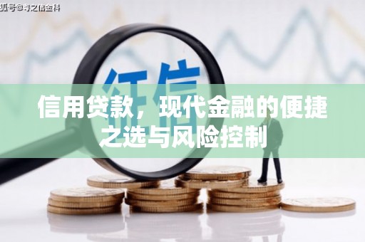 闵行信用贷款，现代金融的便捷之选与风险控制