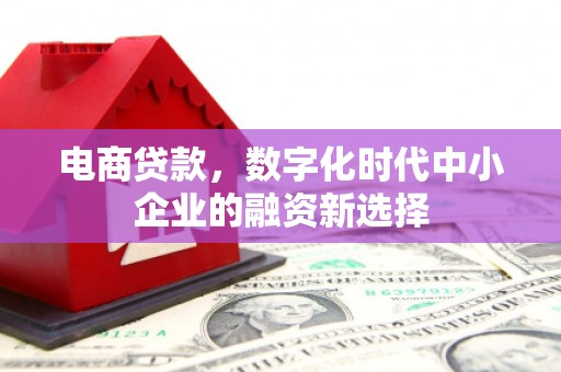 闵行电商贷款，数字化时代中小企业的融资新选择