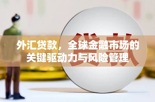 闵行外汇贷款，全球金融市场的关键驱动力与风险管理