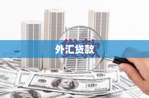 闵行外汇贷款